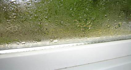 Get ventilation sorted before dampness returns
